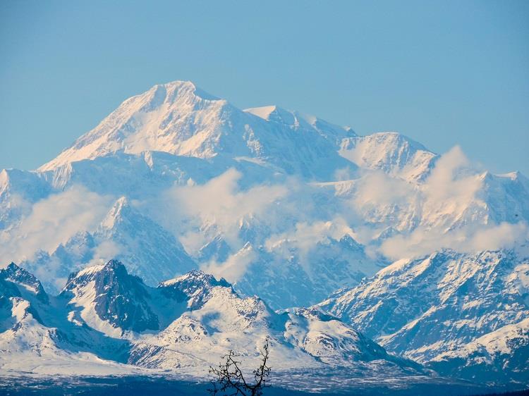 Denali National Park. Photo by Ashley Heimbigner.