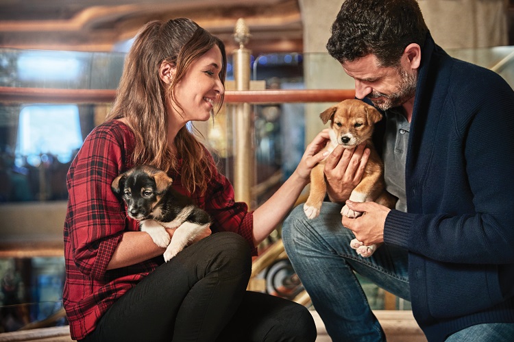 "Puppies in the Piazza" on Princess Cruises in Alaska