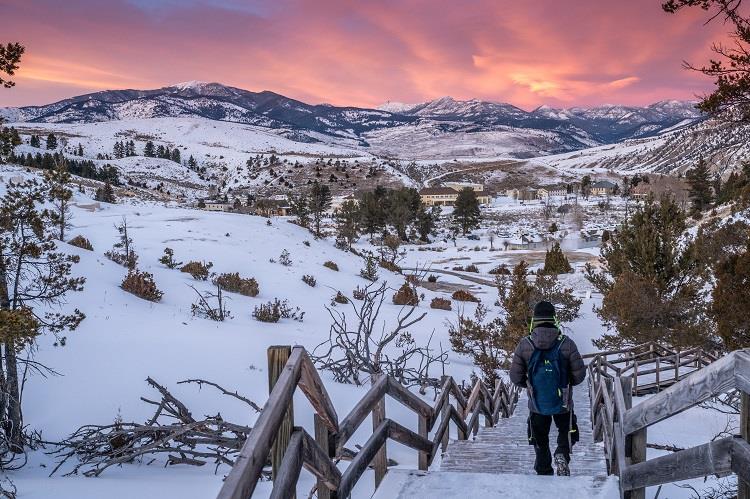 Yellowstone National Park in wintertime is rugged, remote and without crowds. Photo by Tauck Creative. 