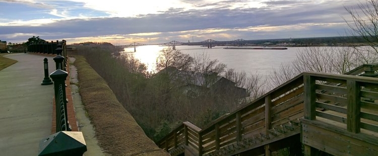 View from the bluffs of Natchez to the river below. Photo courtesy of Visit Natchez.