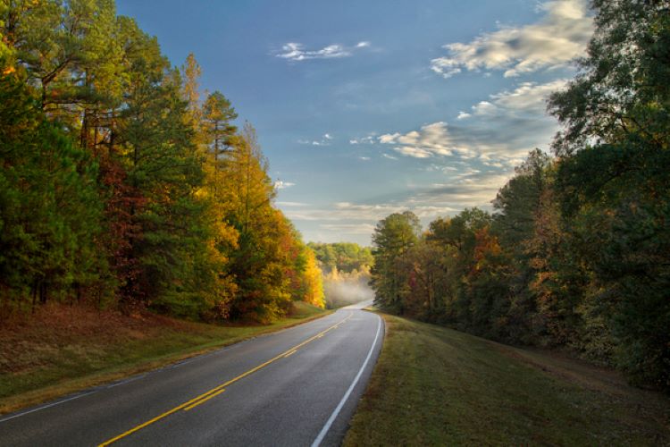 Natchez Trace Parkway. Photo courtesy of Visit Natchez