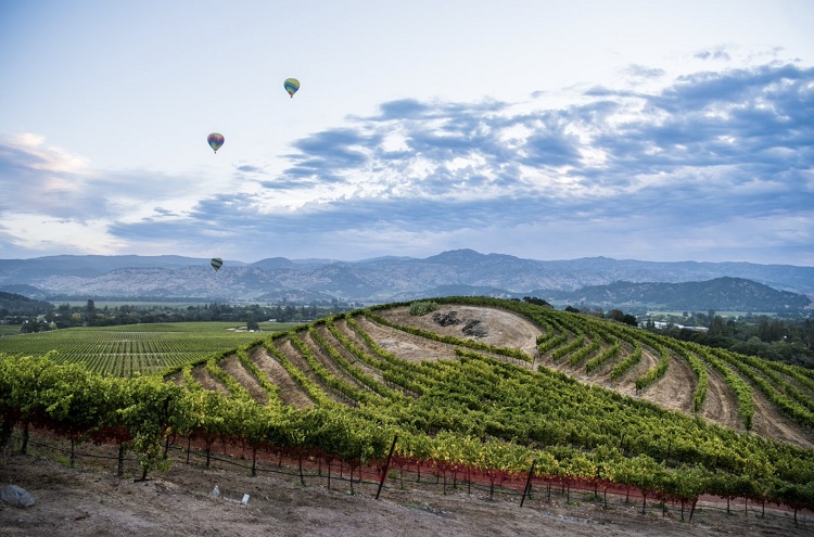 The Napa Valley is a big draw for those who love "everything wine" and this year much is new. Photo by Napa Valley.