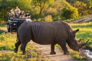 Rhino is spotted on a game drive in a South African preserve. Photo courtesy of Tourism South Africa.