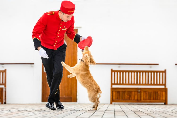 In the dog days of summer, as well as spring and fall, Cunard cares for many dogs and cats in Queen Mary 2's kennel area. Photo by Cunard Line.