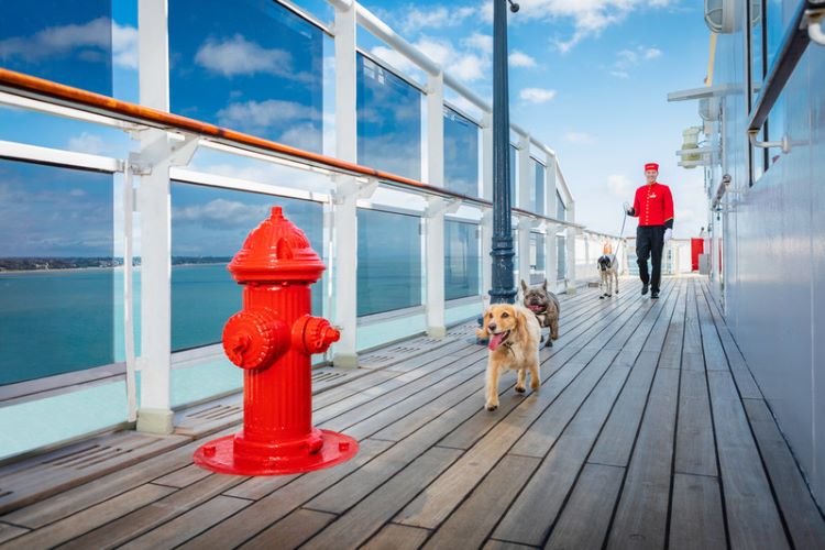 Cunard's Queen Mary 2 provides a fire hydrant and outdoor play area for canines. Photo by Cunard Line