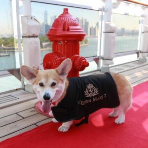 A canine guest likes the line-provided fire hydrant on Queen Mary 2's top deck. Photo by Cunard Line. 