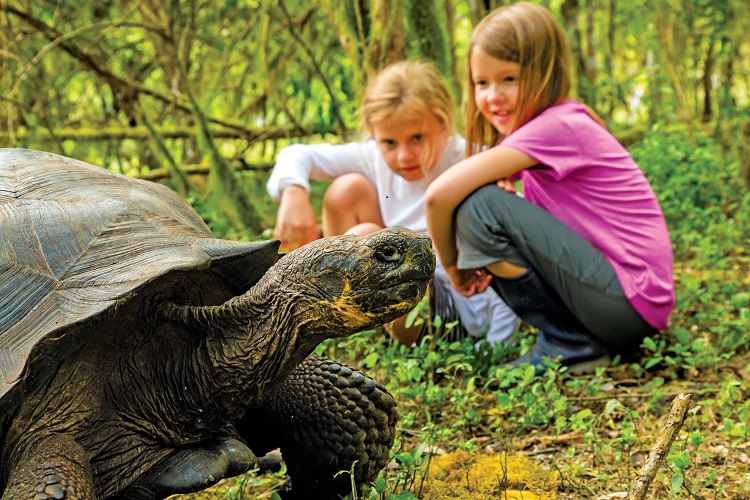 Children learn about the Galapagos Giant Tortoise. Photo copyright by Ralph Lee Hopkins.