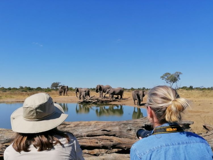 There is nothing like being one with nature in Africa, watching elephants at a waterhole from a private safari vehicle. Photo by George Meyer provided by Micato Safaris. 