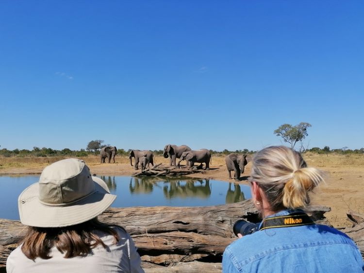 There is nothing like being one with nature in Africa, watching elephants at a waterhole from a private safari vehicle. Photo by George Meyer provided by Micato Safaris.