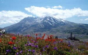 Spectacular Mount St. Helens as seen from Johnston Ridge. Photo by American Queen Voyages