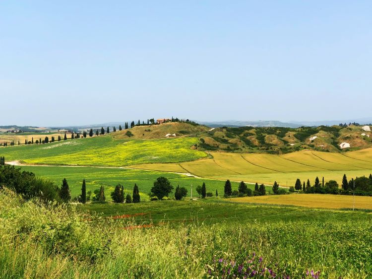 The rolling Tuscan countryside. Photo by Anita Dunham-Potter.