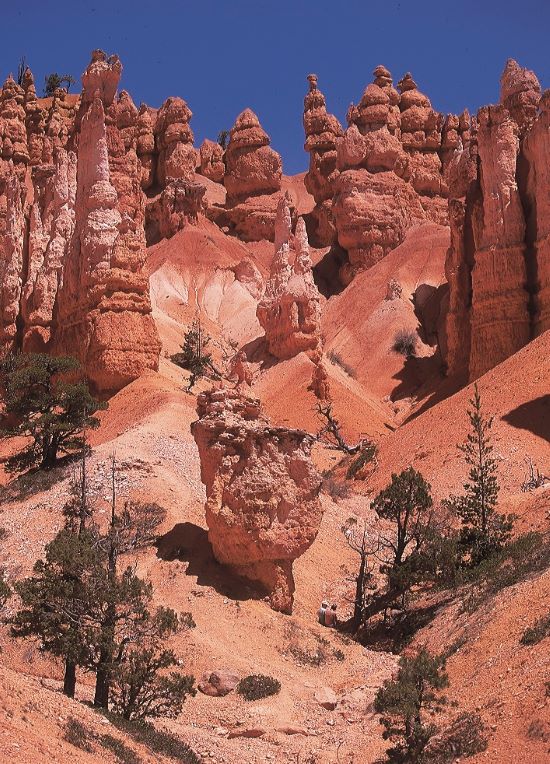 The dramatic scenery of Bryce Canyon National Park. Photo by Tauck. 