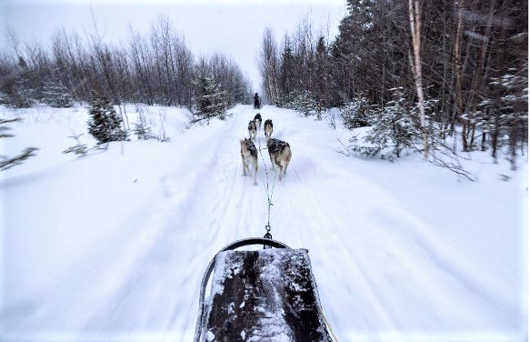 Dog sledding is one Ponant activity option for a Boreal winter sailing on the St. Lawrence River. Photo by Ponant. 