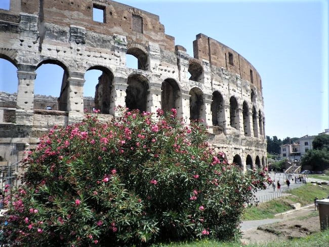 The Roman Colosseum is the iconic site that visitors often say is most memorable in Rome. Photo by Susan J. Young.