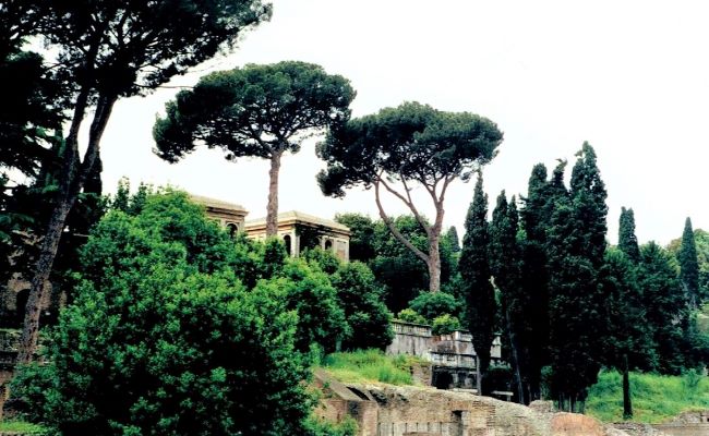 Palantine Hill, one of the Seven Hills of Rome, sits above the Roman Forum on one side, the Circus Maximus on the other. Photo by Susan J. Young. 