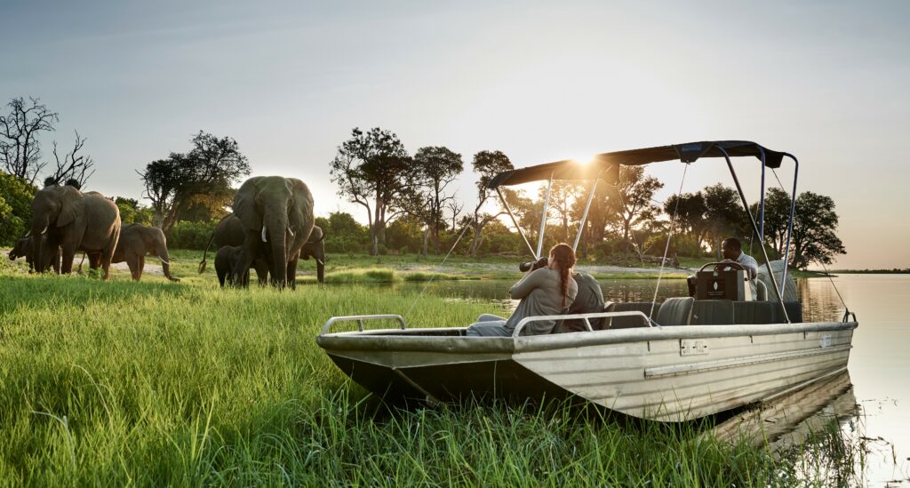 Safari guests head out by boat in Botswana to get up close to elephants. Photo copyrighted by Sanctuary Retreats, provided courtesy of Abercrombie & Kent.