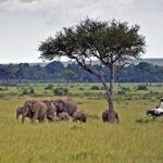 Family on a game drive in East Africa gets up close with an elephant herd. Photo copyrighted by Sanctuary Retreats, provided courtesy of A&K.