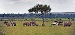 Family on a game drive in East Africa gets up close with an elephant herd. Photo copyrighted by Sanctuary Retreats, provided courtesy of A&K.
