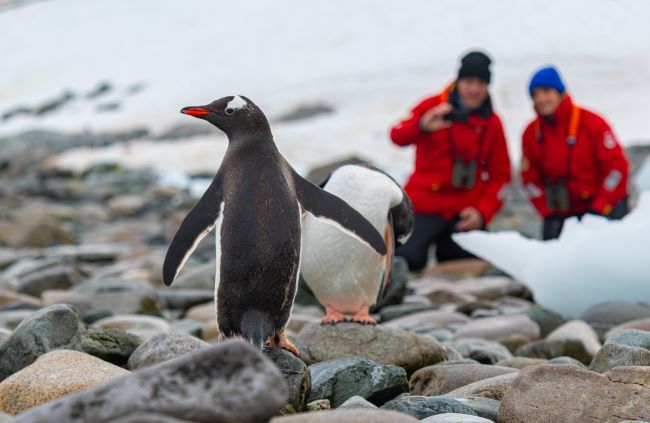Taking a selfie at a respectable distance is allowed in Antarctica, but petting is not. Photo by Viking. 