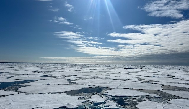 One unexpected expedition view was sea ice surrounding the ship. Photo by Erin Conner. 