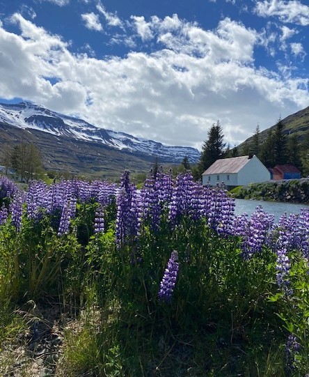 Gorgeous scenic beauty awaits on an Iceland cruise. Photo by Leann Wright of Pavlus Travel. 