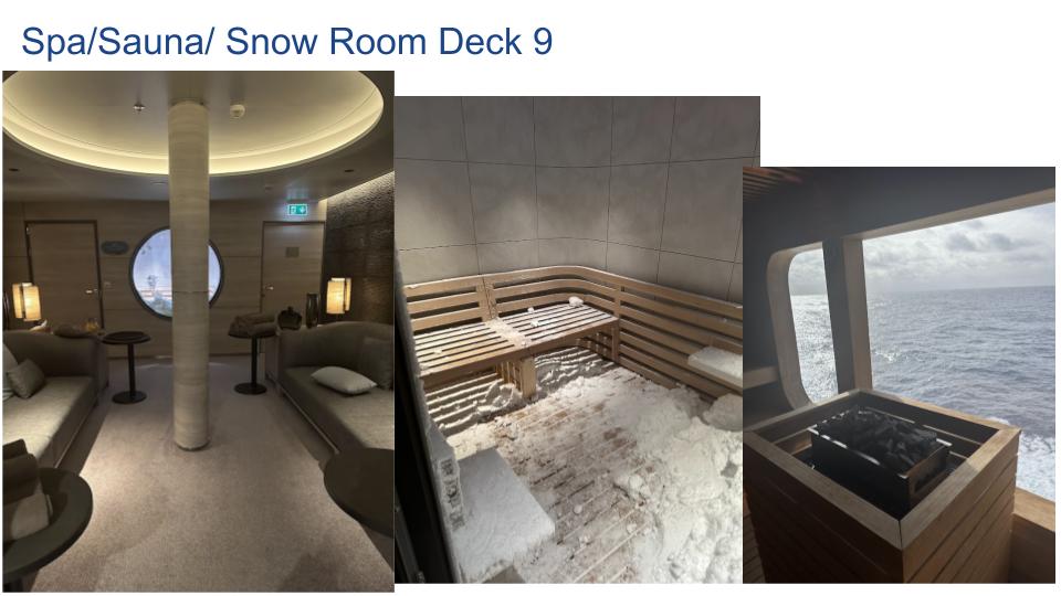 Spa/sauna/snow room on Ponant's Le Commandant Charcot. Photo by Victoria Hill and/or Megan Stockdale Stewart.