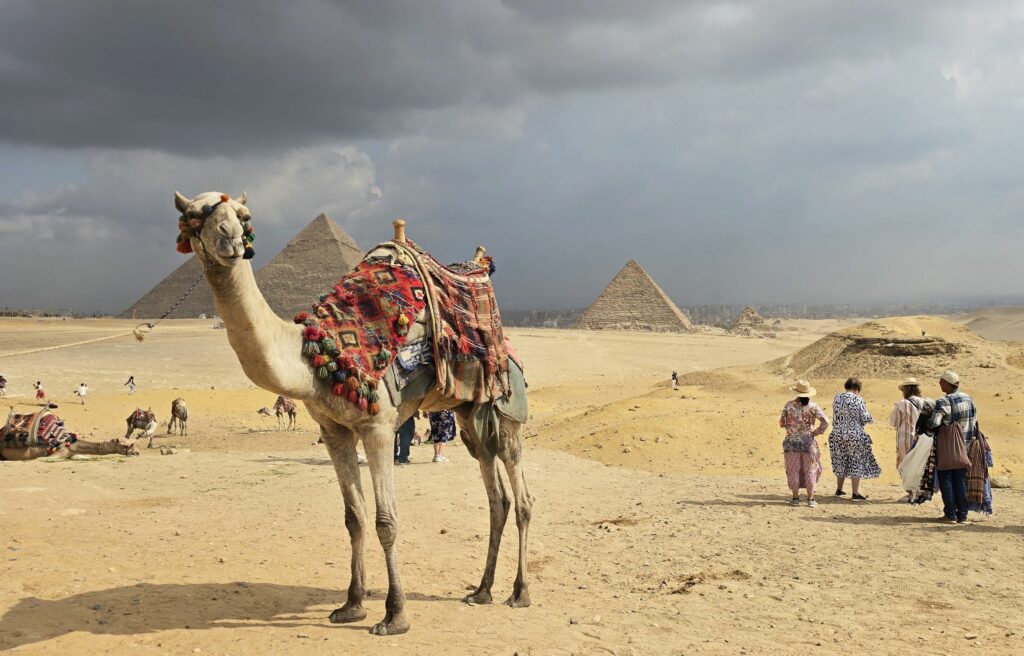 Guests who ride a camel at the Pyramids of Giza can feel they've had a "bravecation" experience -- doing something different from their normal comfort zone. Photo by Susan J. Young.