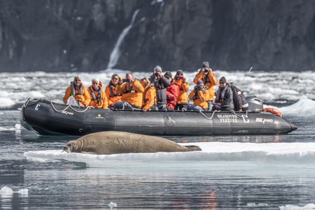 Seabourn Venture's guests enjoy a wildlife spotting Zodiac expedition in Greenland. Photo by Seabourn.