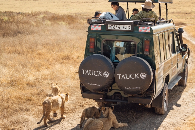 Tauck's guests enjoy a wildlife spotting safari outing in Ngorongoro Crater, Tanzania. Photo by Tauck. 