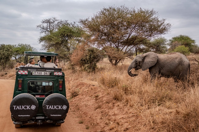 A Tauck family safari in Tanzania's Serengeti National Park. Photo by Tauck.